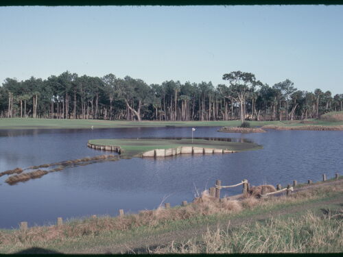 Par-3 17th on the Stadium Course at TPC Sawgrass