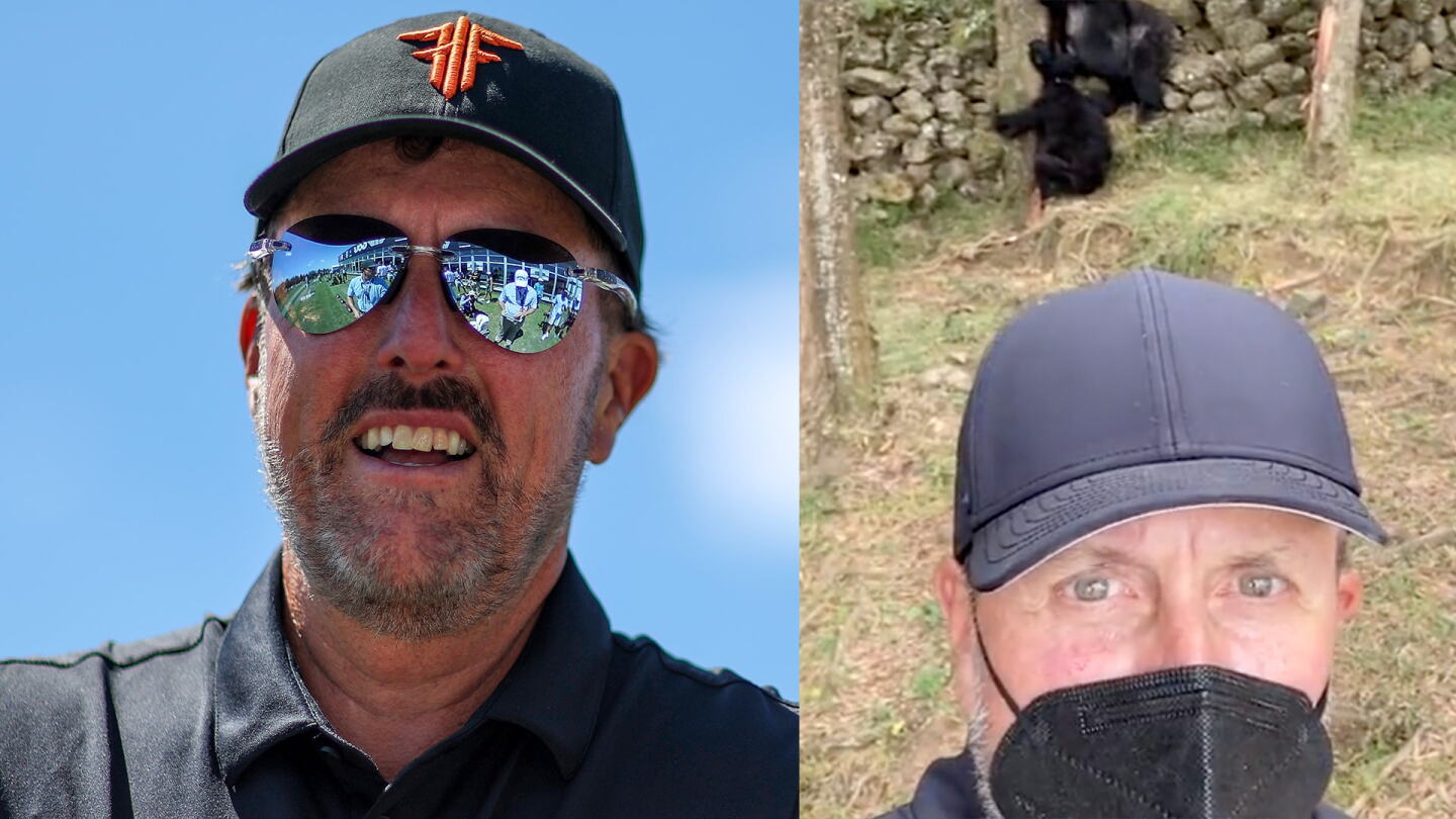 mickelson_gorillas_1920.jpg