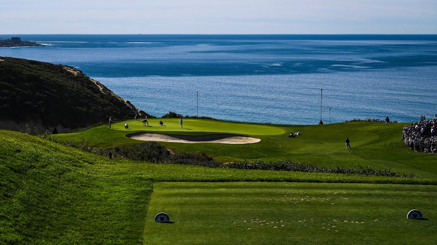 Torrey 3