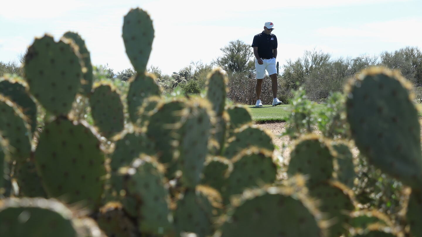 garcia_1920_cactus.jpg