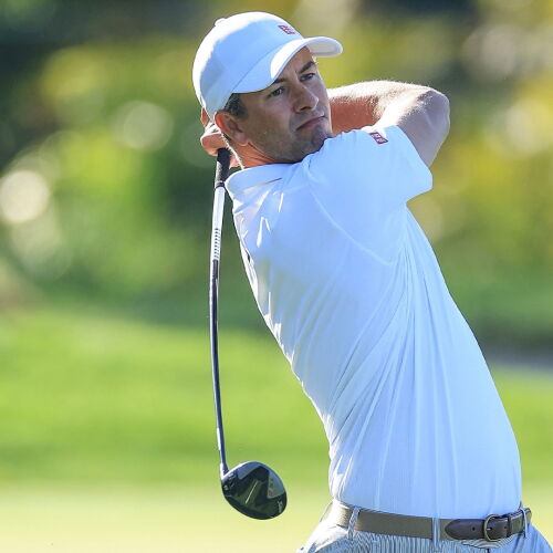 scott_1920_api22_d1_2wood.jpg