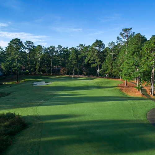 pinehurst_6_1920.jpg