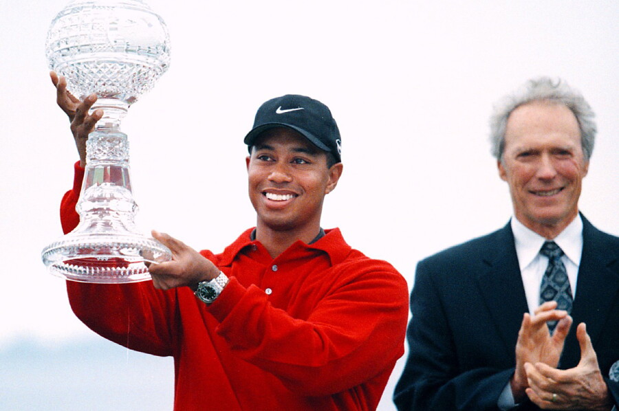 tiger_trophy_2000att.jpg