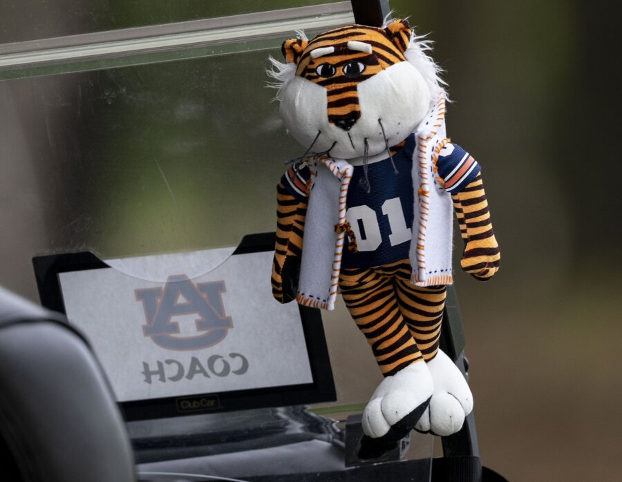 Aubie