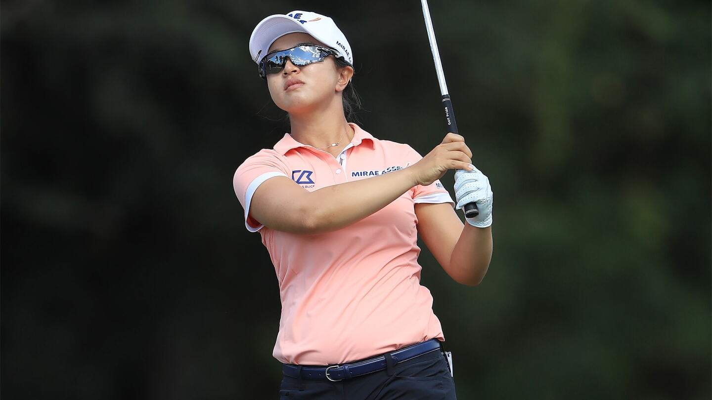 sykim19_cme19_d2_iron_lookup