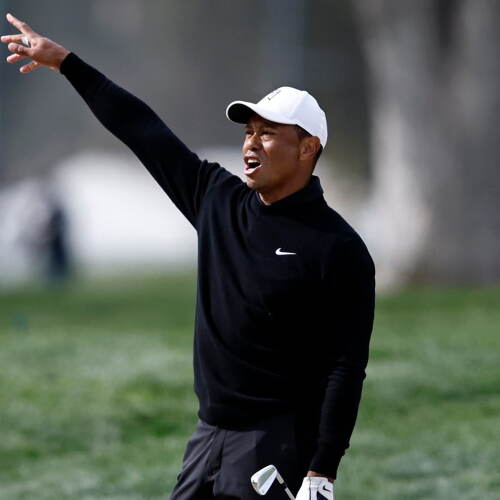 woods_fore_1920_genesis23.jpg