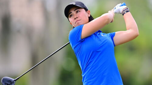 kang_1920_toc22_d3_swing.jpg