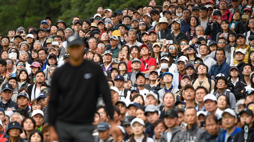 woods_1920_zozo19_fans.jpg