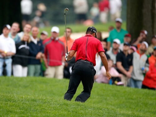 Tiger Woods