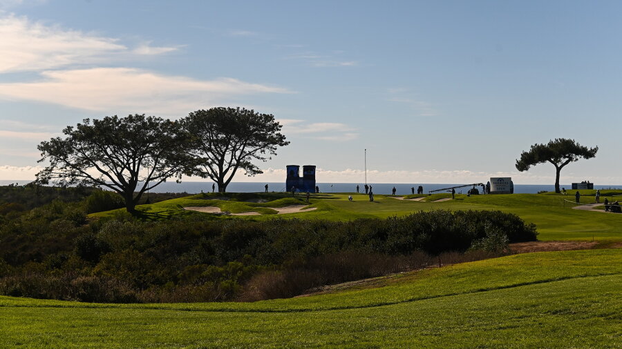 Torrey 16