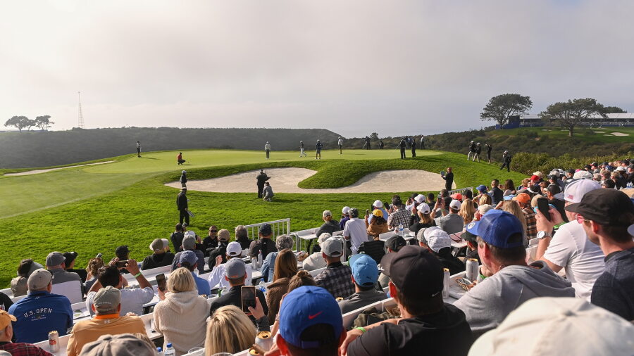 Torrey 14