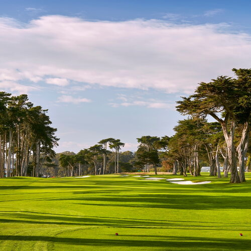 tpc_harding_park_1920_pga20.jpg