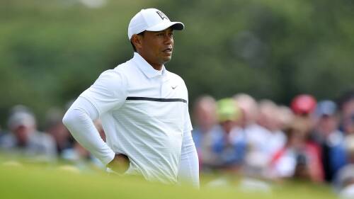 tiger_1920_open19_d2_0.jpg