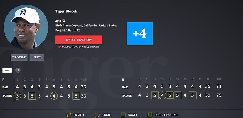 Tiger Woods