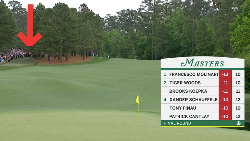 Tiger on 11