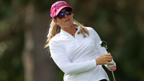 creamer_1920_dana22_d1_iron.jpg