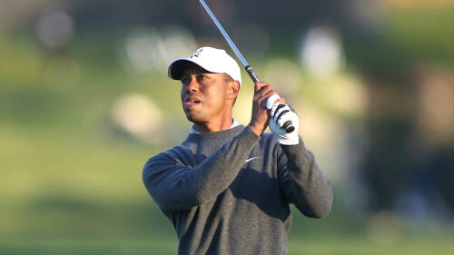 tiger_1920_genesis20_iron_d2.jpg