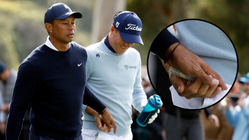 Tiger_JT_1920_Genesis23_R1_tampon.jpg