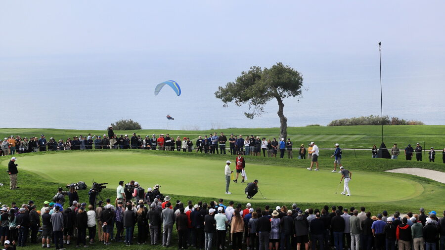 Torrey 5
