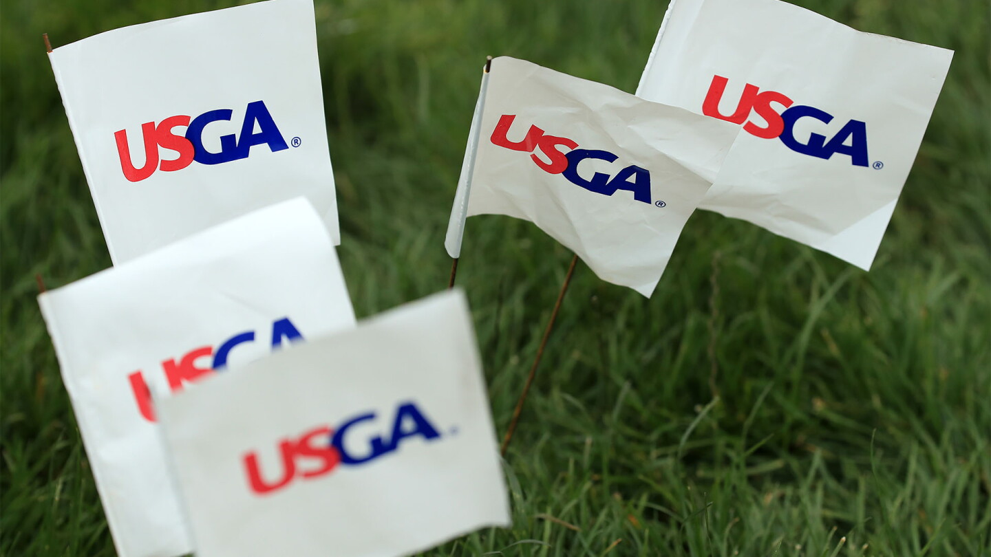 usga_1920_flags.jpg