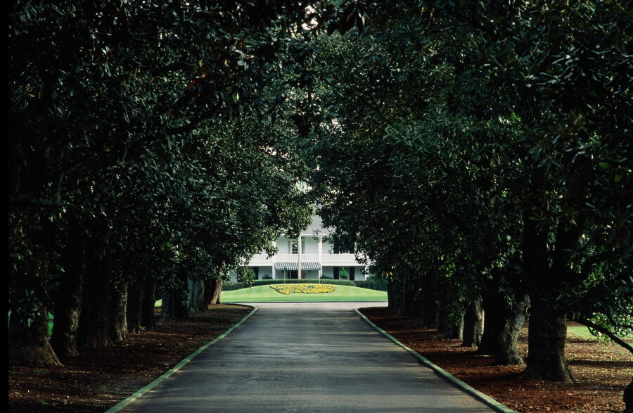 Magnolia Lane