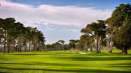 tpc_harding_park_1920_pga20.jpg