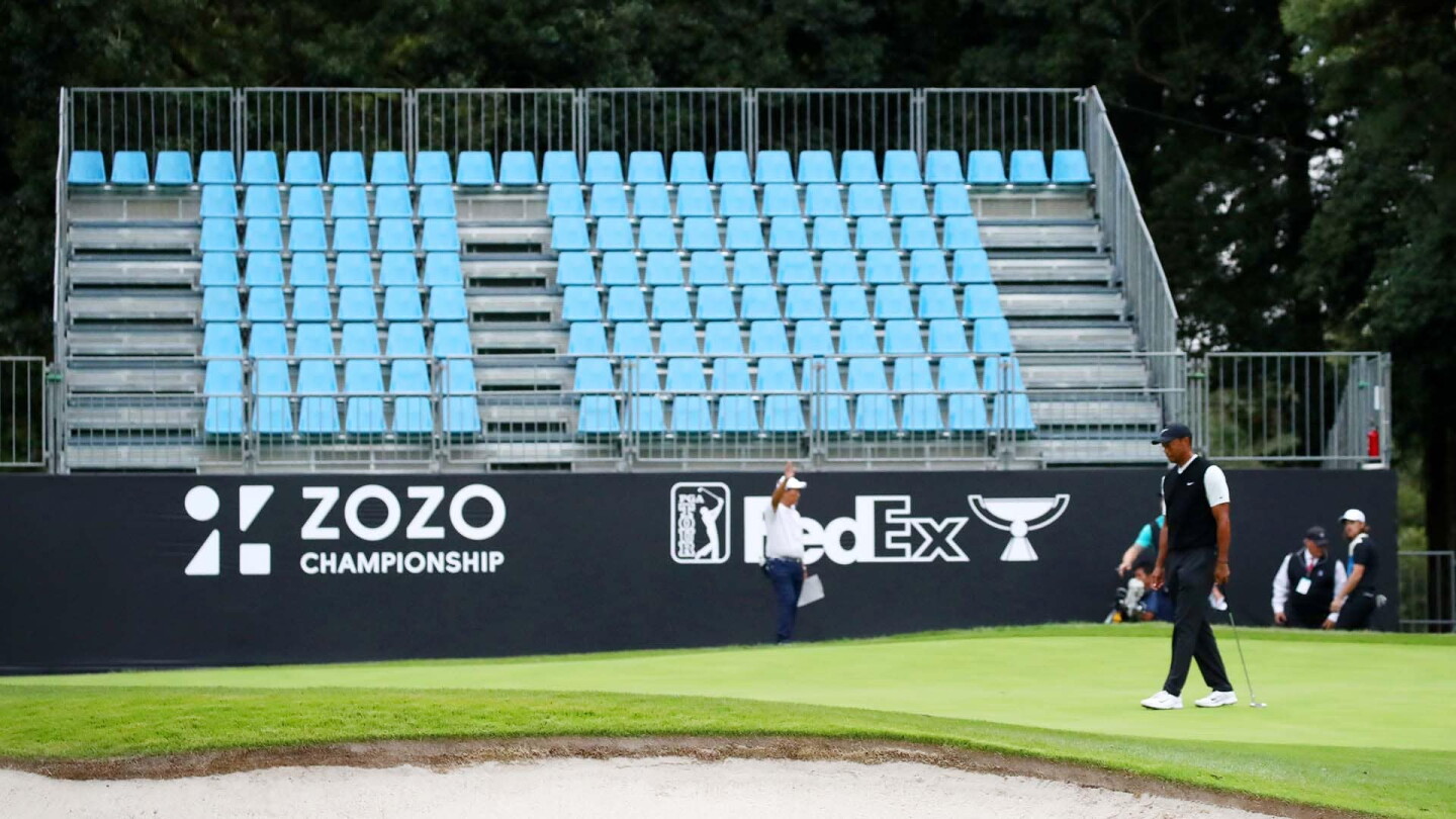 woods_1920_zozo19_d2_stands.jpg
