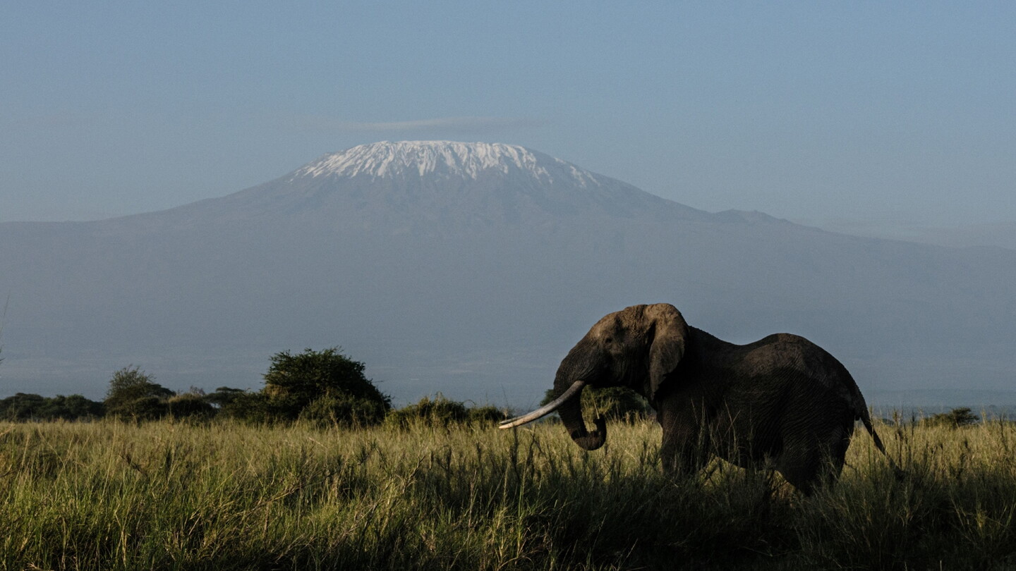mount_kilamanjaro_1920.jpg