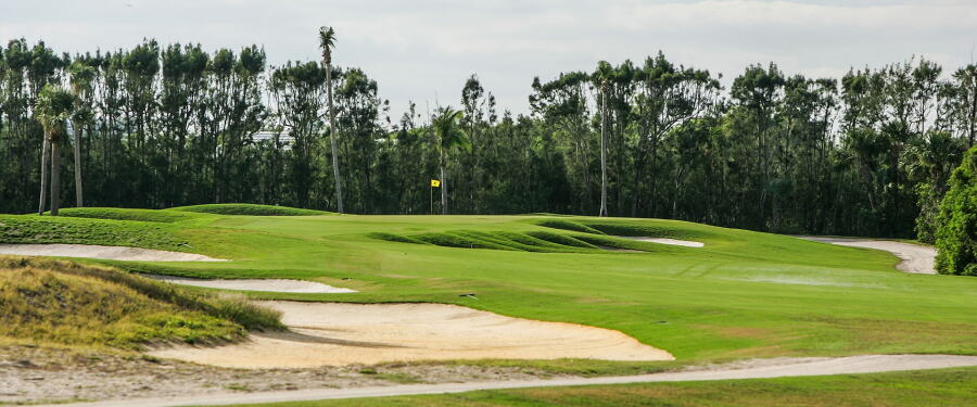 Seminole 6
