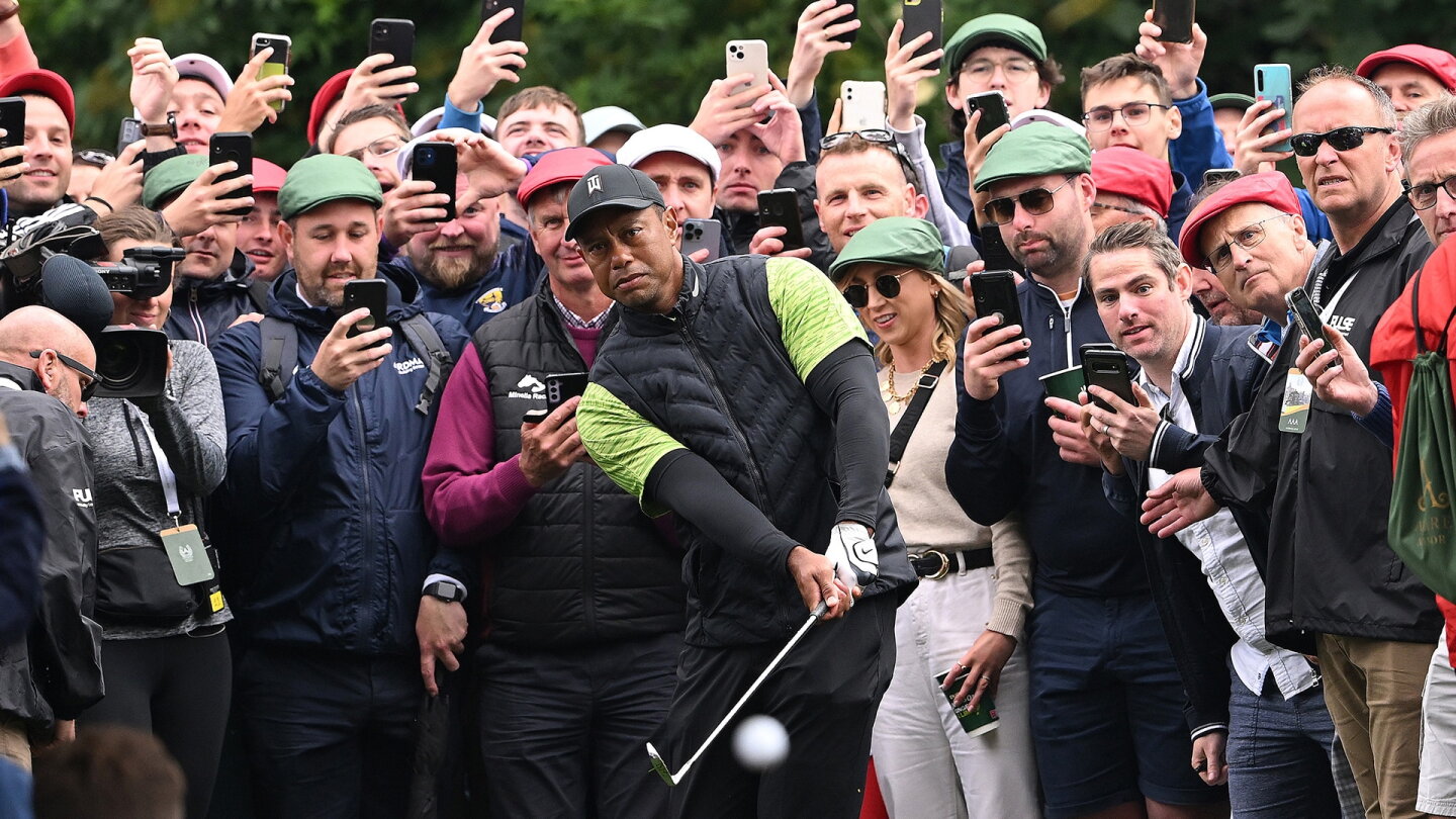 woods_1920_mcmanus22_chip.jpg