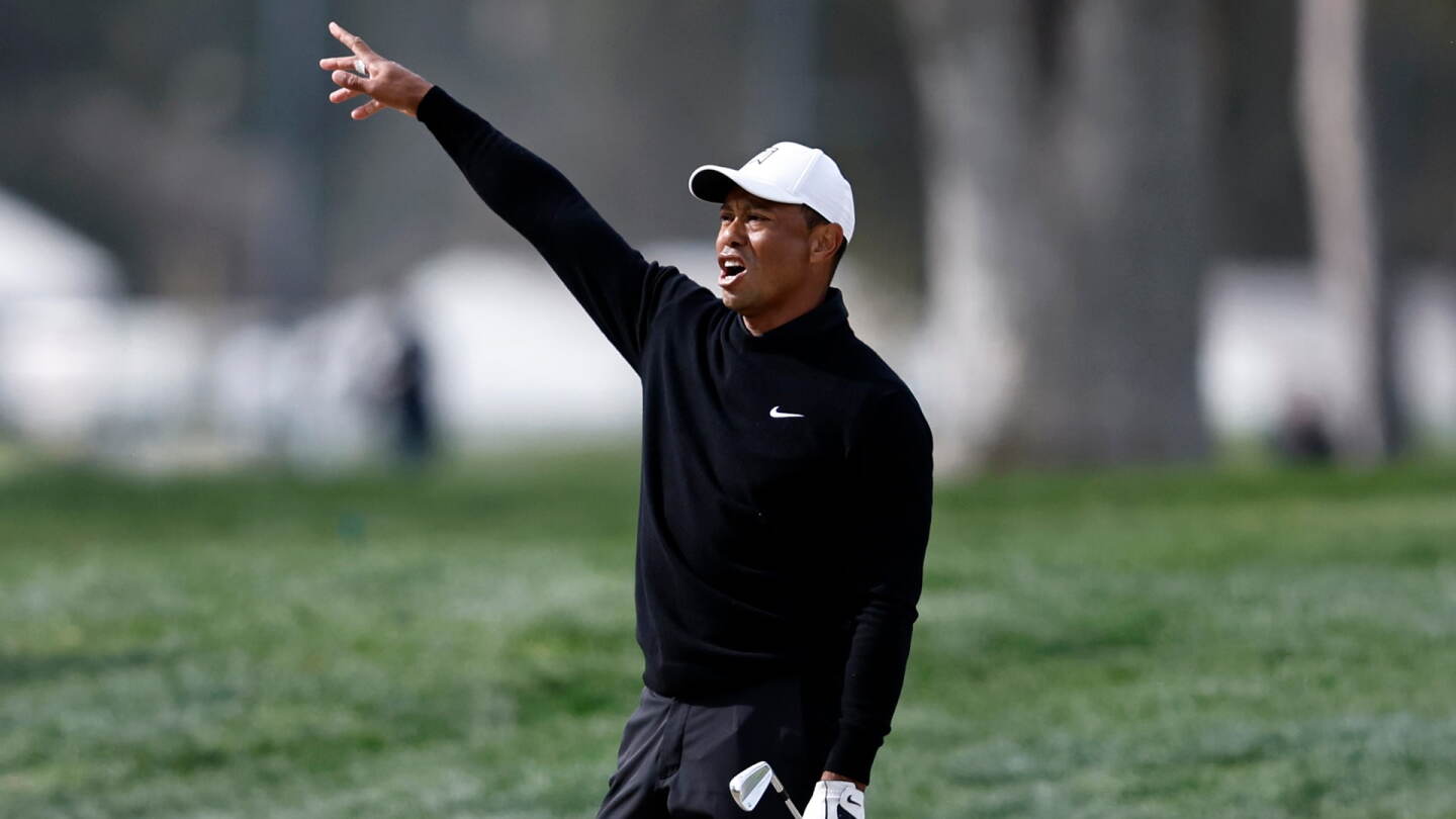 woods_fore_1920_genesis23.jpg