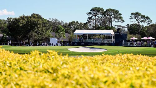 Image for The ANNIKA- Rd 2