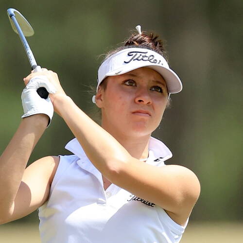 davis_1920_anwa22_d1_iron.jpg
