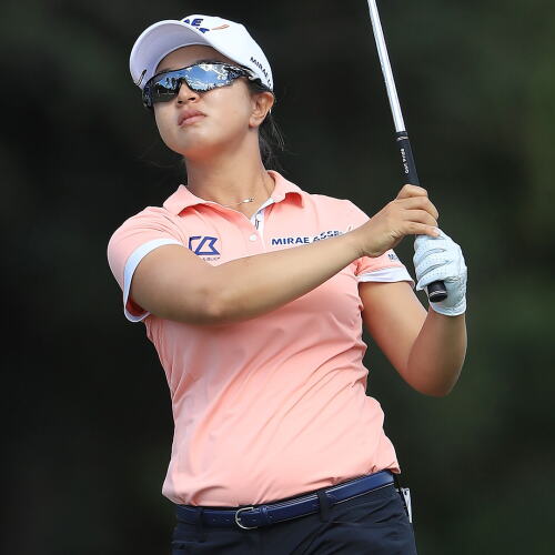sykim19_cme19_d2_iron_lookup