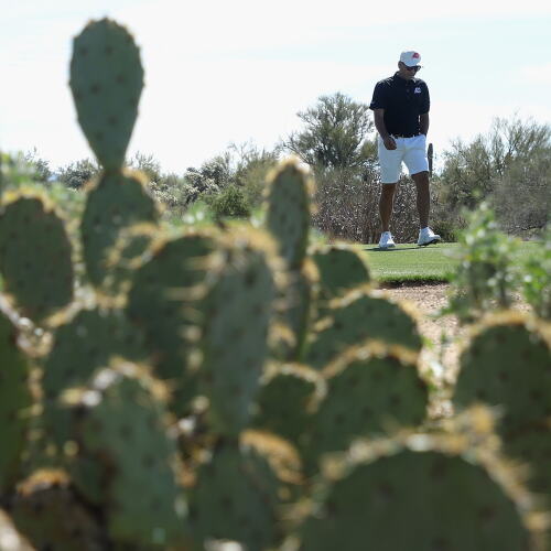 garcia_1920_cactus.jpg