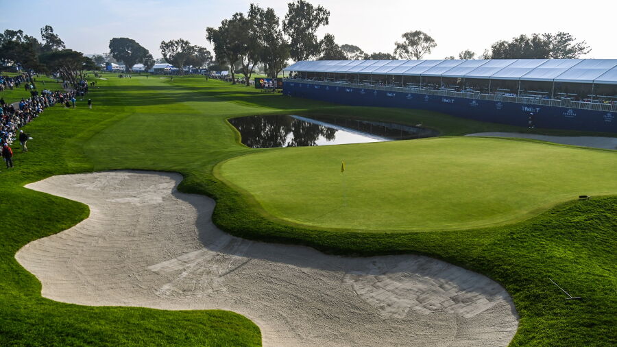 Torrey 18