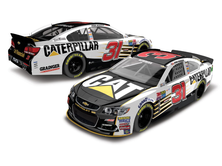 ryan-newman-cat