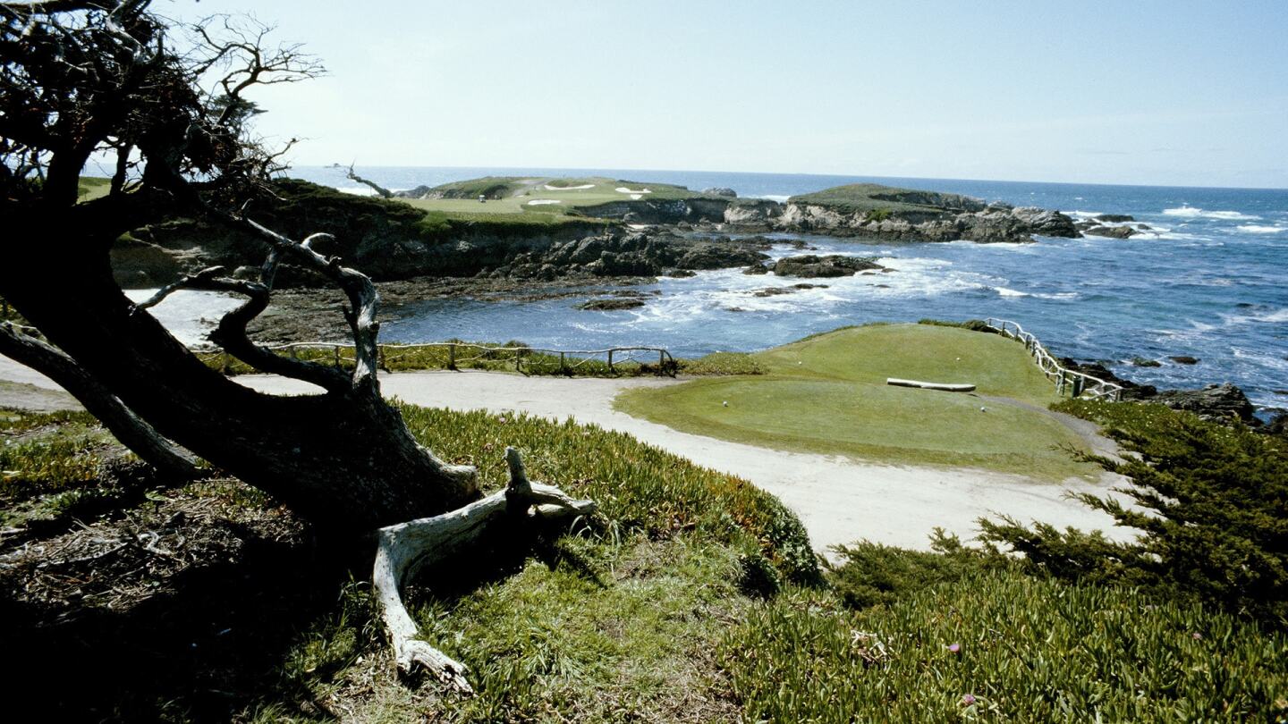 Cypress_1920_16.jpg