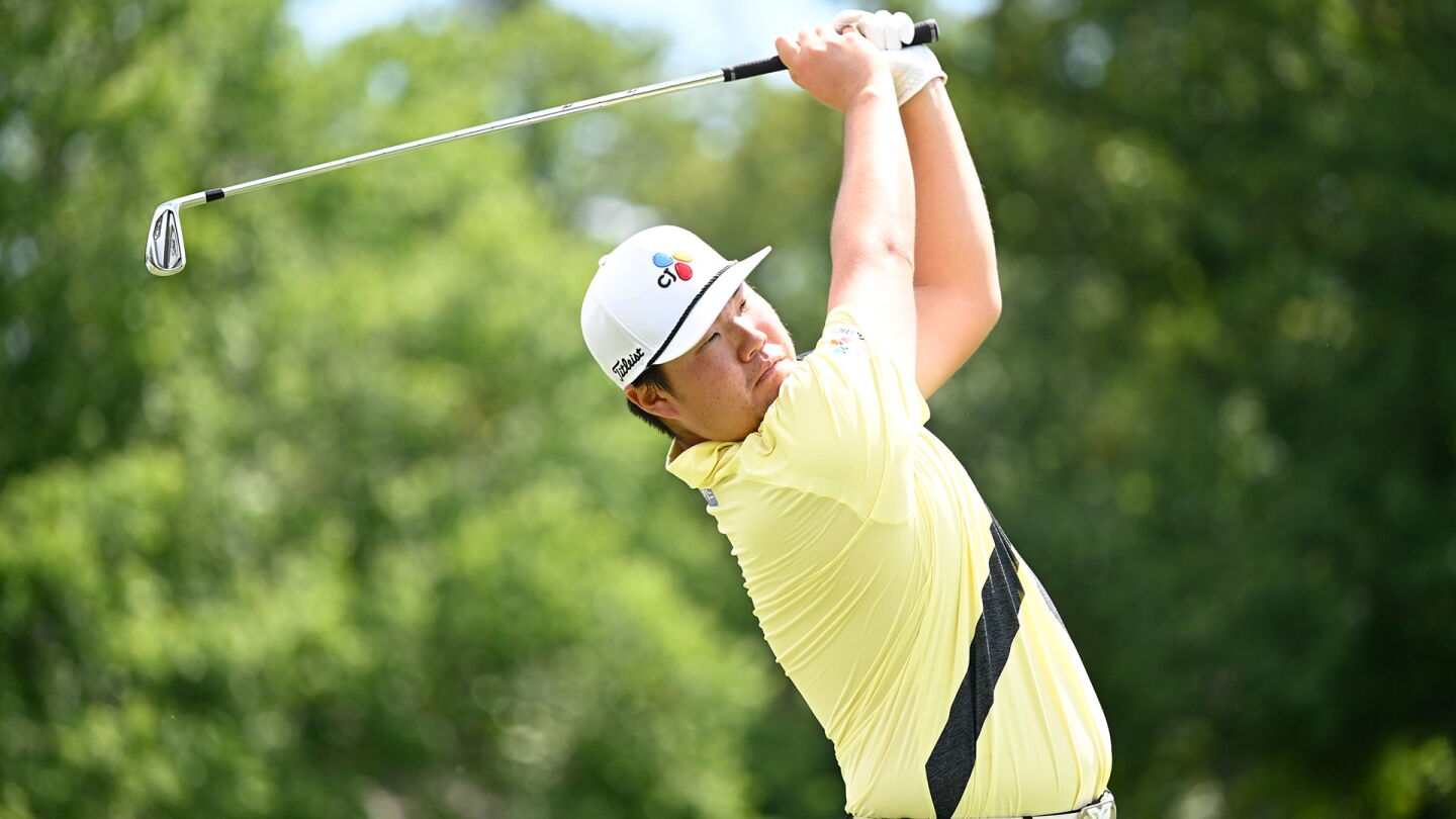 Im_1920_Wyndham22_D3_Iron.jpg
