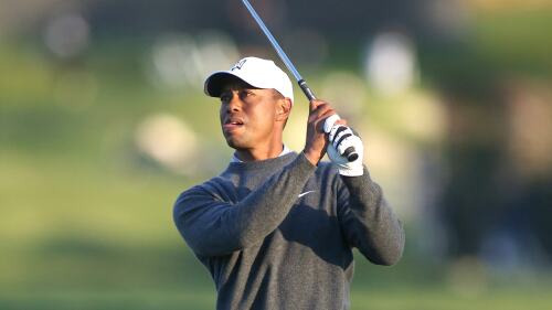 tiger_1920_genesis20_iron_d2.jpg