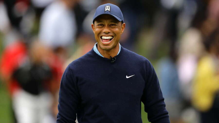tiger_1920_skins19_smile.jpg