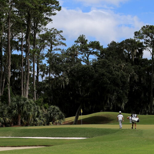 Sawgrass_1920_DyesCourse.jpg